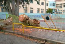 Το σχόλιο της Δευτέρας: Μπαίνοντας στα σχολεία το 2023. Παρατηρήσεις για την περίοδο.