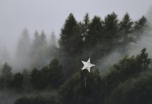 Το σχόλιο της Δευτέρας: Χριστουγεννιάτικο δέντρο