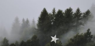 Το σχόλιο της Δευτέρας: Χριστουγεννιάτικο δέντρο